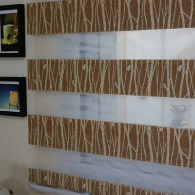 Sottile ed elegante miglioramento delle finestre con tessuto blind zebra a strisce grigie
