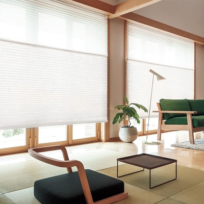 WELLSOURCE Manuale cordless giorno e notte cellulare sfumature non blackout filtro luce pannocchia tessuto per la casa, ufficio,
